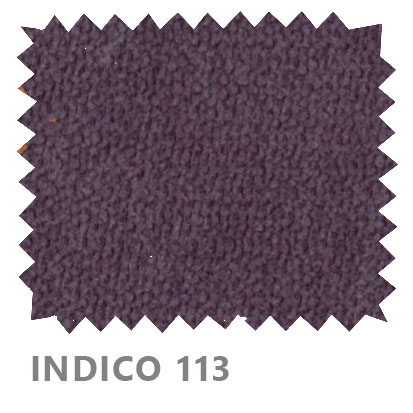 Indico 113
